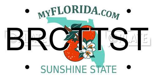 BRCTTST Florida License Plate