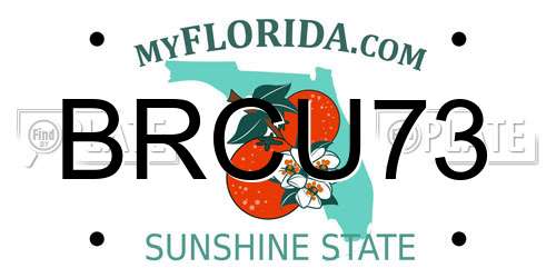 BRCU73 Florida License Plate