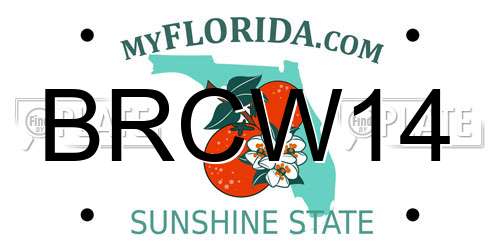 BRCW14 Florida License Plate