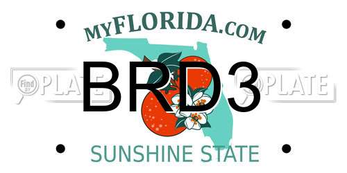 BRD3 Florida License Plate