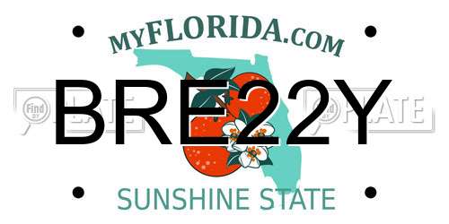 BRE22Y Florida License Plate