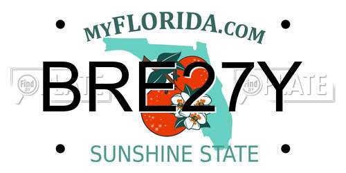BRE27Y Florida License Plate