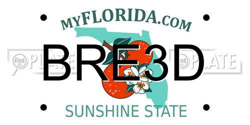 BRE3D Florida License Plate