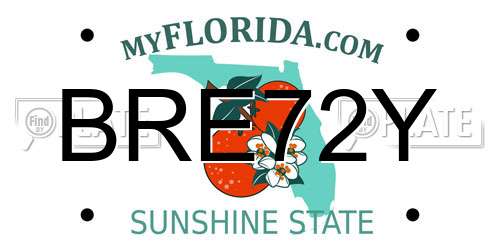 BRE72Y Florida License Plate