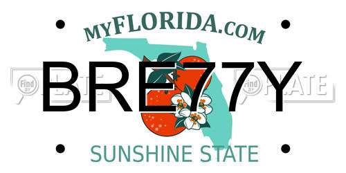 BRE77Y Florida License Plate