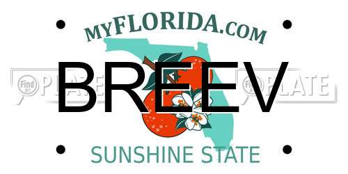 BREEV Florida License Plate
