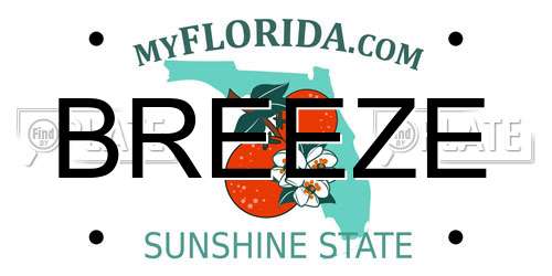 BREEZE Florida License Plate