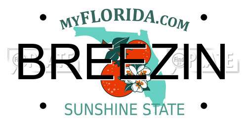 BREEZIN Florida License Plate