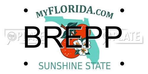 BREPP Florida License Plate
