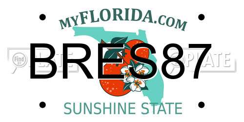 BRES87 Florida License Plate