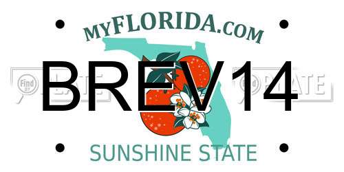 BREV14 Florida License Plate