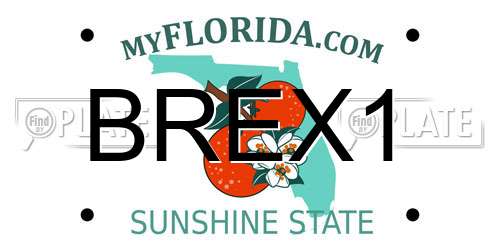 BREX1 Florida License Plate