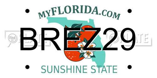 BREZ29 Florida License Plate