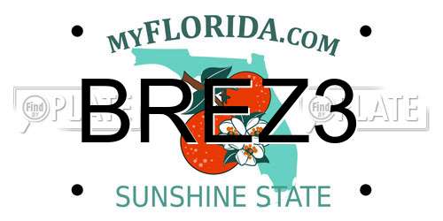 BREZ3 Florida License Plate