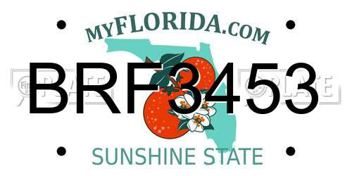BRF3453 Florida License Plate
