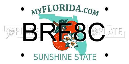 BRF8C Florida License Plate