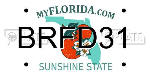 BRFD31 Florida License Plate