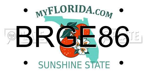 BRGE86 Florida License Plate