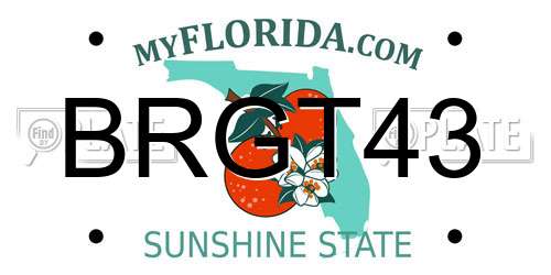 BRGT43 Florida License Plate
