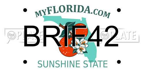 BRIF42 Florida License Plate