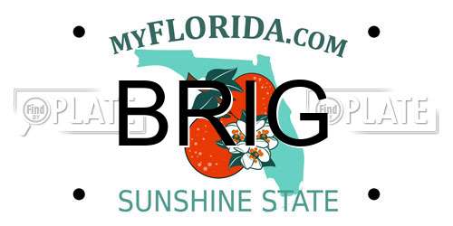 BRIG Florida License Plate