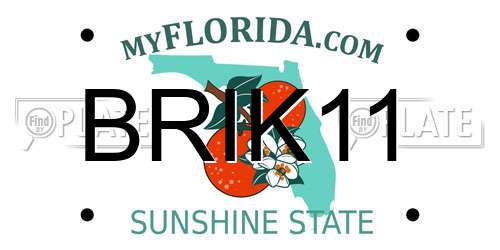 BRIK11 Florida License Plate