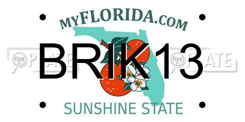 BRIK13 Florida License Plate