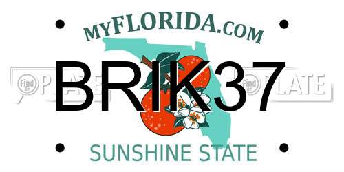 BRIK37 Florida License Plate