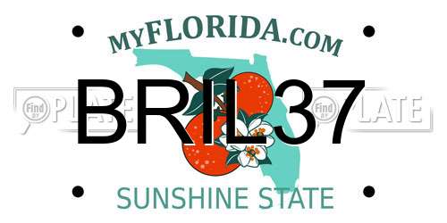 BRIL37 Florida License Plate