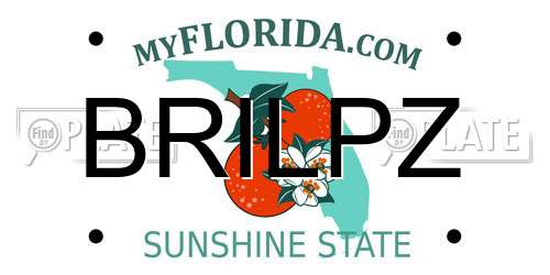 BRILPZ Florida License Plate