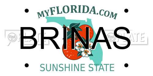 BRINAS Florida License Plate