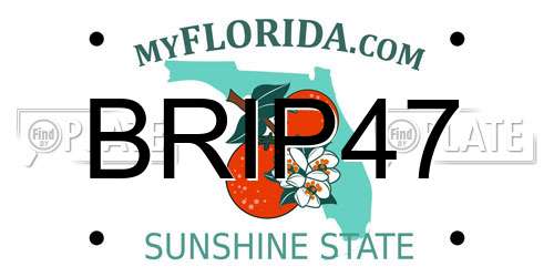BRIP47 Florida License Plate