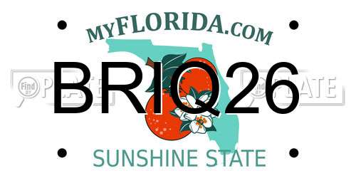 BRIQ26 Florida License Plate
