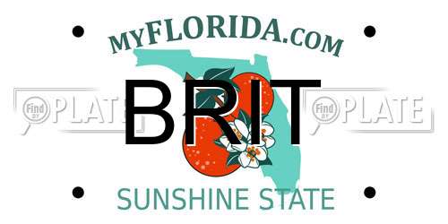 BRIT Florida License Plate