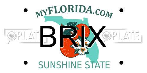 BRIX Florida License Plate