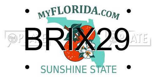 BRIX29 Florida License Plate