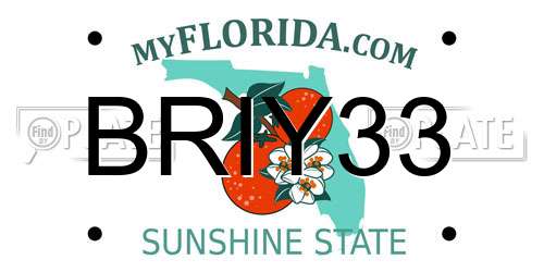 BRIY33 Florida License Plate
