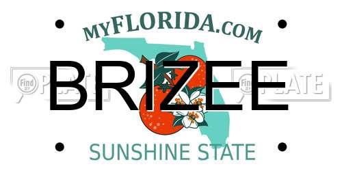 BRIZEE Florida License Plate