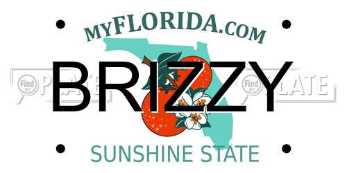 BRIZZY Florida License Plate