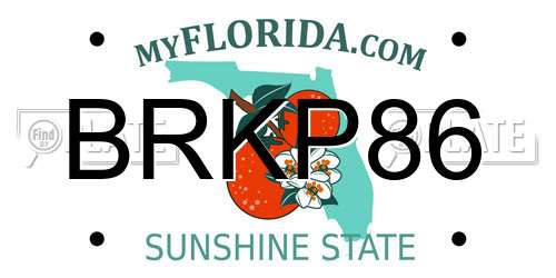 BRKP86 Florida License Plate