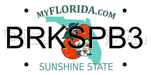 BRKSPB3 Florida License Plate