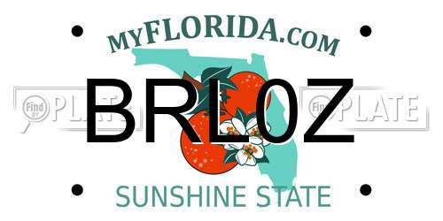 BRL0Z Florida License Plate