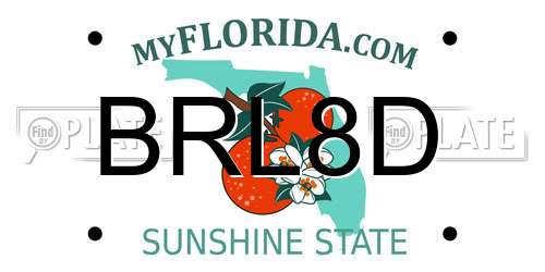 BRL8D Florida License Plate
