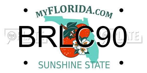 BRLC90 Florida License Plate