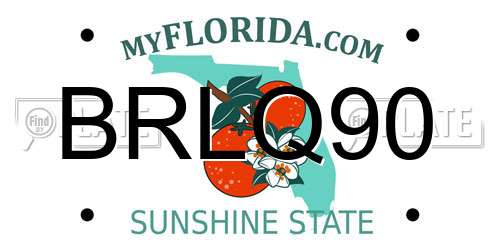 BRLQ90 Florida License Plate