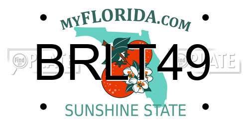 BRLT49 Florida License Plate