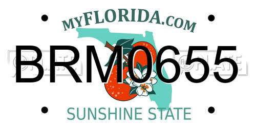 BRM0655 Florida License Plate