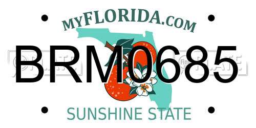 BRM0685 Florida License Plate