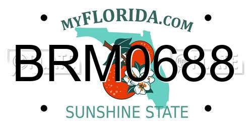 BRM0688 Florida License Plate