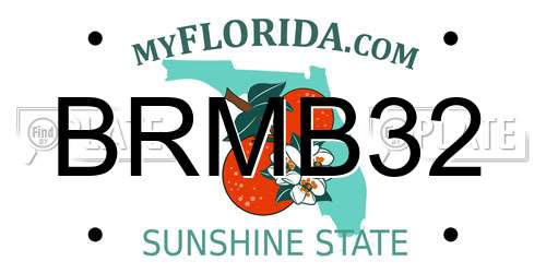 BRMB32 Florida License Plate